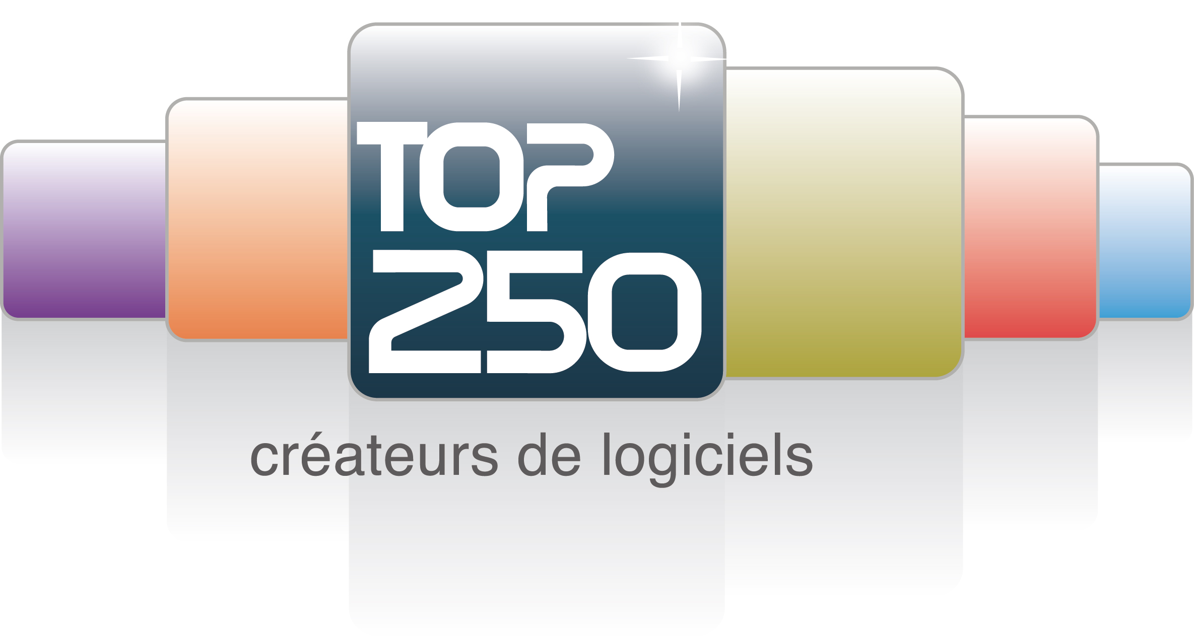 Syntec Numérique Top 250